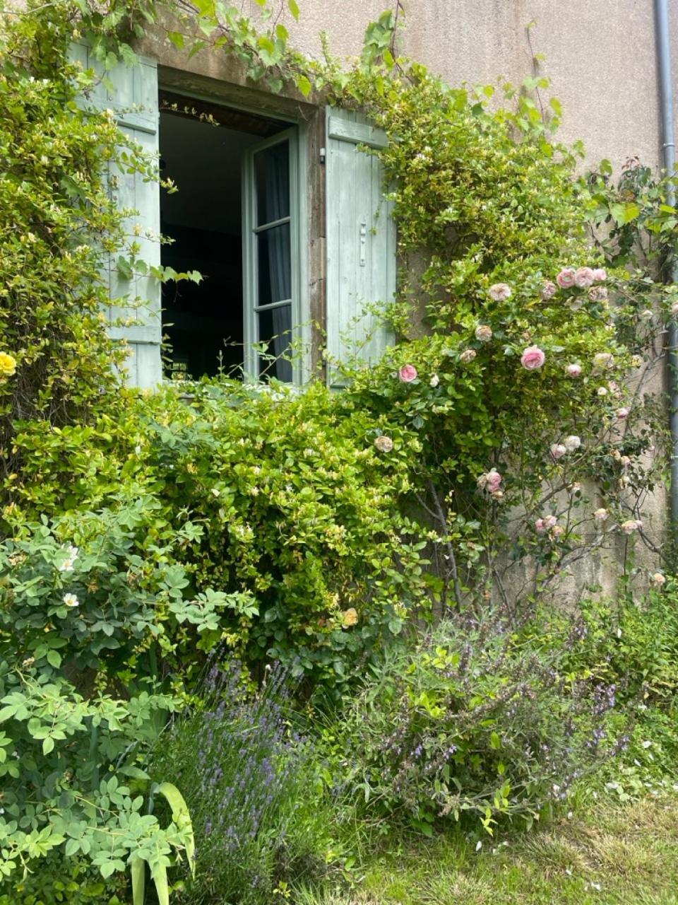 Chez Katia Hotel Semur-en-Auxois Ngoại thất bức ảnh